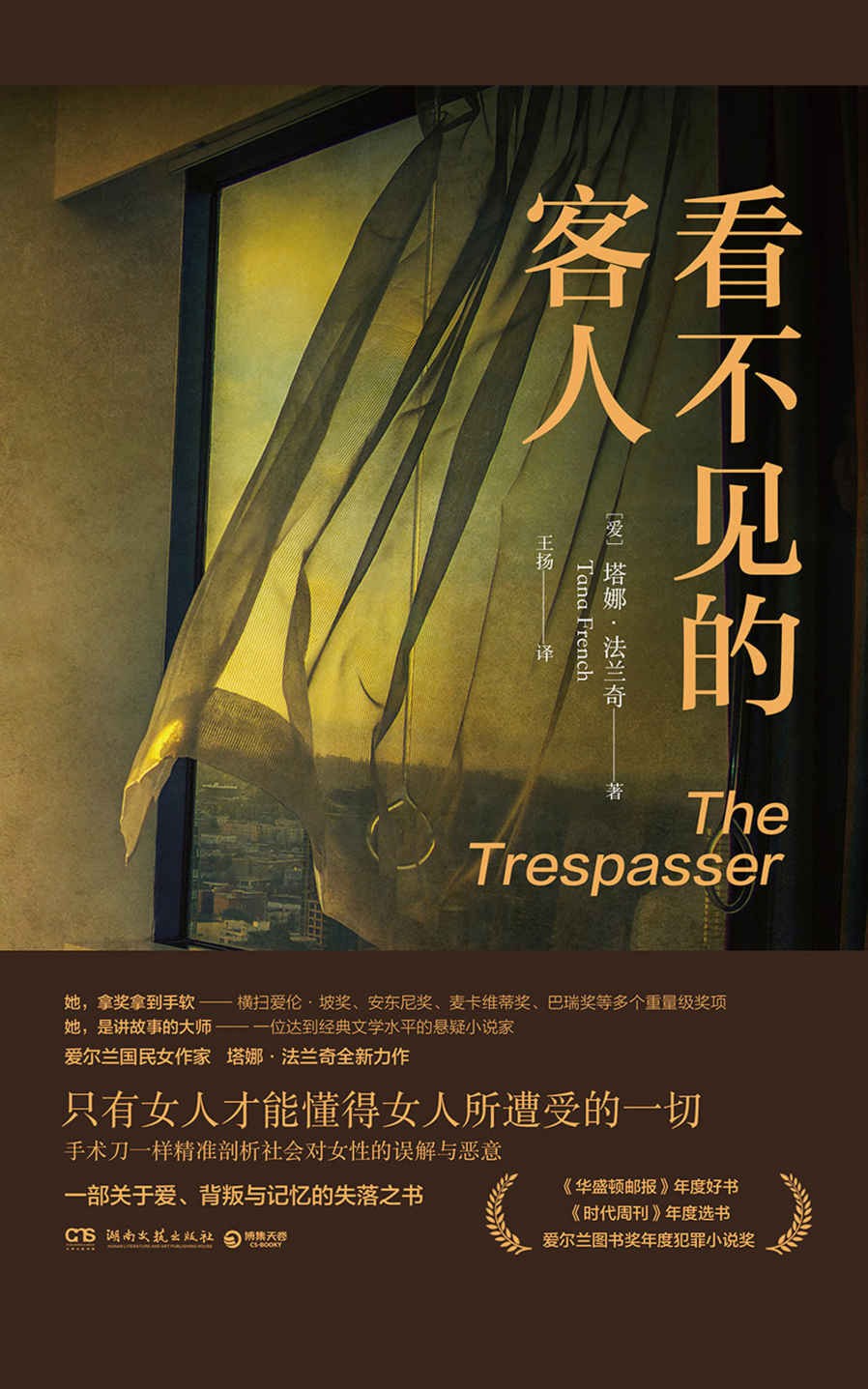 看不见的客人 (塔娜·法兰奇) (mobi+azw3+epub)