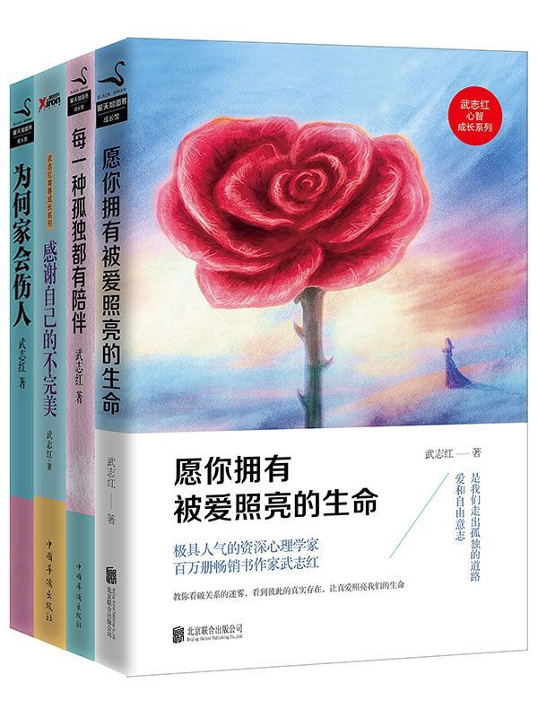 武志红经典作品合集 (套装共4册) (mobi+azw3+epub)