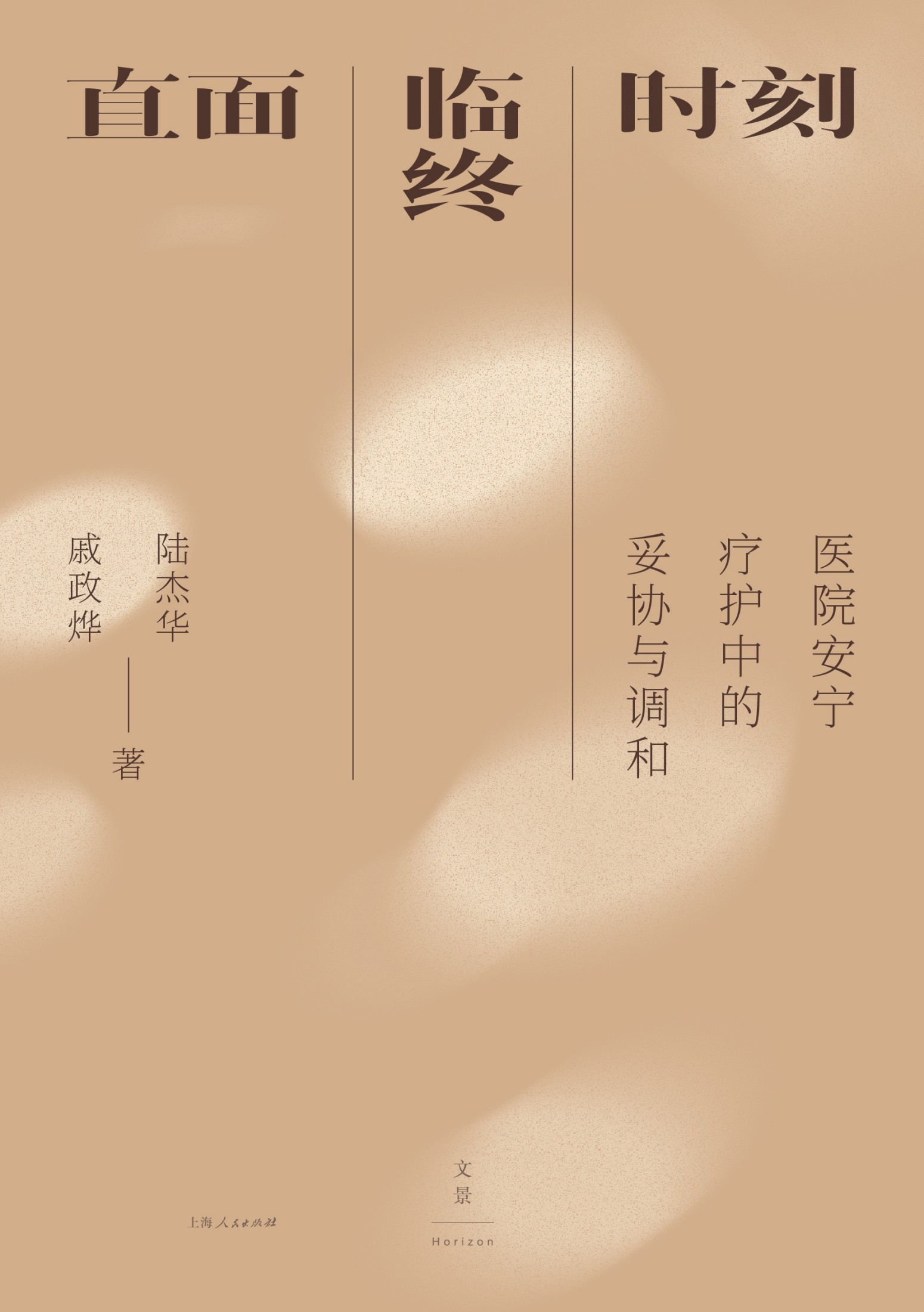 直面临终时刻：医院安宁疗护中的妥协与调和 (陆杰华／戚政烨) (epub,azw3)
