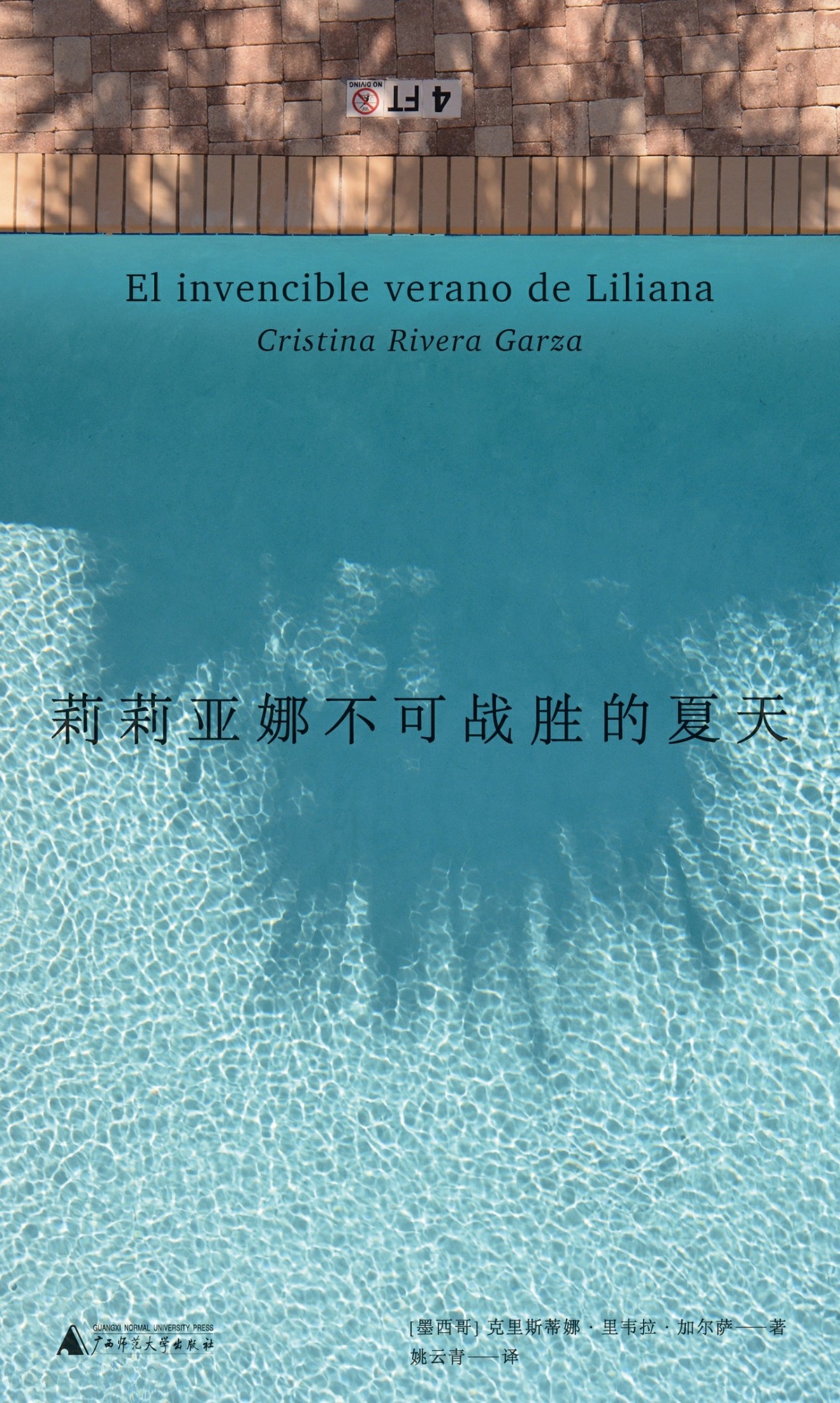 莉莉亚娜不可战胜的夏天 (克里斯蒂娜·里韦拉·加尔萨) (epub,azw3)