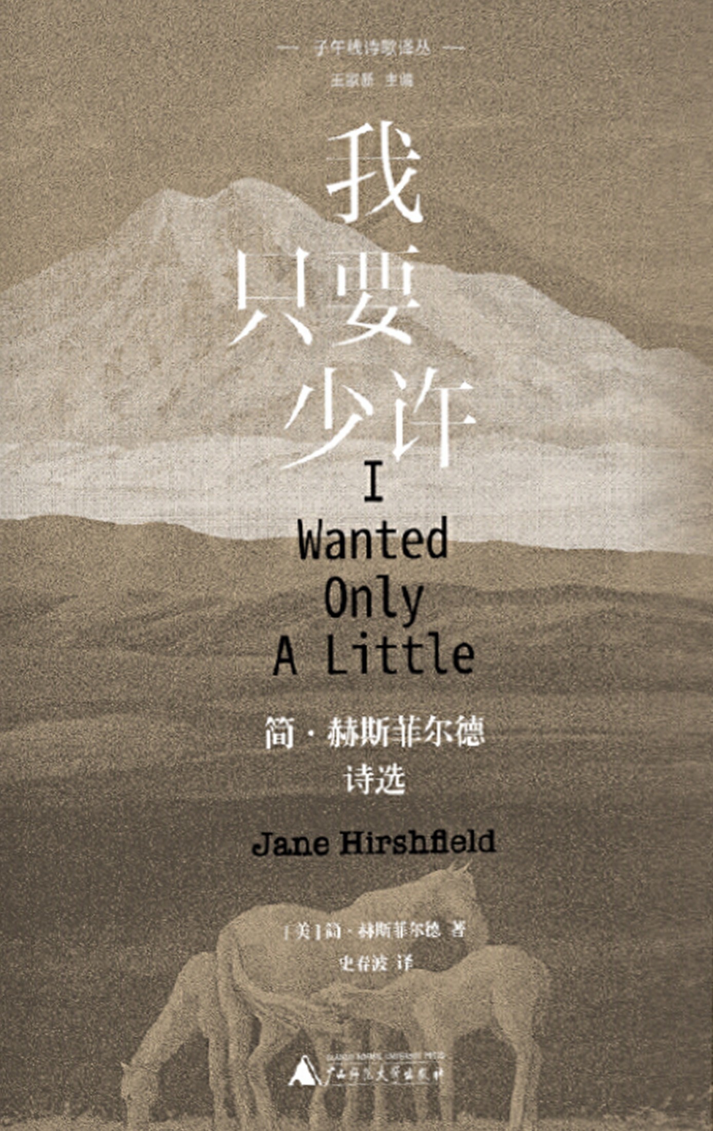 我只要少许:简·赫斯菲尔德诗选 (简·赫斯菲尔德) (epub,azw3)