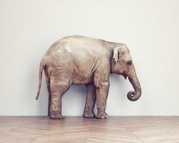 文章样式五：视频列表