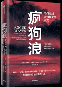 疯狗浪：如何应对突如其来的剧变 (乔纳森·布里尔) (mobi+azw3+epub)