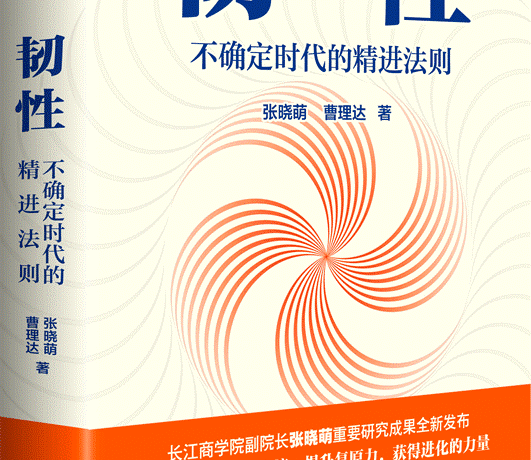 韧性：不确定时代的精进法则 (张晓萌、曹理达) (mobi+azw3+epub)