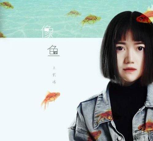 王贰浪「像鱼」伴奏