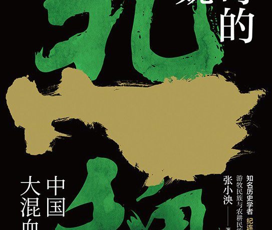神奇的北魏 (张小泱) (mobi+azw3+epub+pdf)