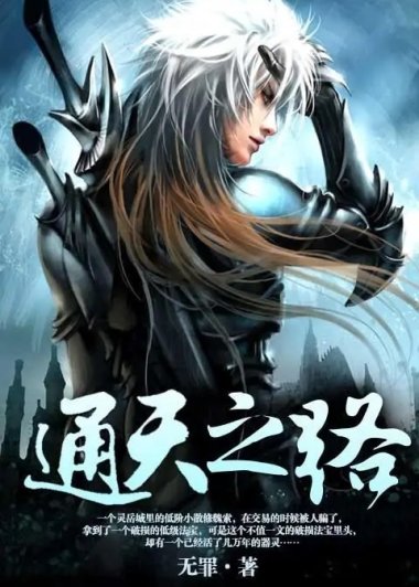 通天之路 (无罪) (txt+azw3+epub)