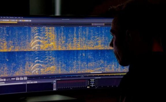 Acon Digital Acoustica Premium 7.5.5 WIN