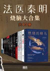 法医秦明烧脑大合集 (全套装15册) (秦明) (mobi+azw3+epub)