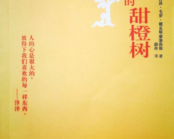 我亲爱的甜橙树 (若泽·毛罗·德瓦斯康塞洛斯) (mobi+azw3+epub)