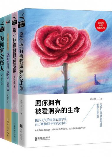 武志红经典作品合集 (套装共4册) (mobi+azw3+epub)