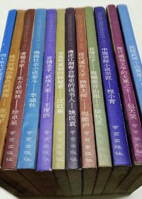 中国近现代通俗作家评传丛书 (套装共12册)