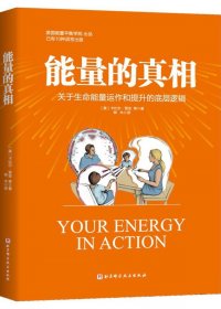 能量的真相 (卡比尔·贾菲) (pdf)