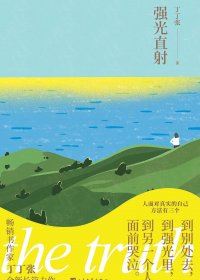 强光直射 (丁丁张) (mobi,azw3,epub)