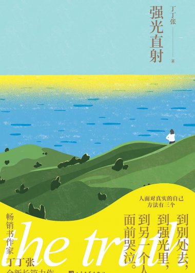 强光直射 (丁丁张) (mobi,azw3,epub)