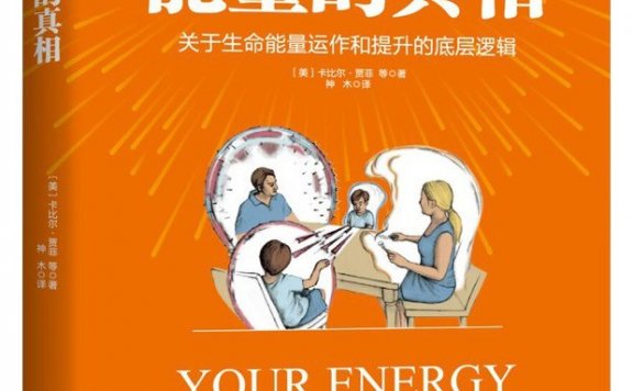 能量的真相 (卡比尔·贾菲) (pdf)