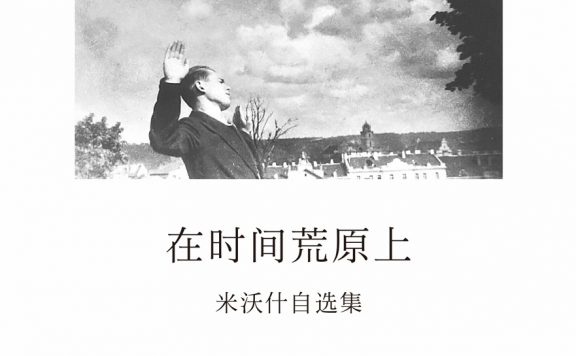 在时间荒原上：米沃什自选集 (切斯瓦夫·米沃什) (epub,azw3)