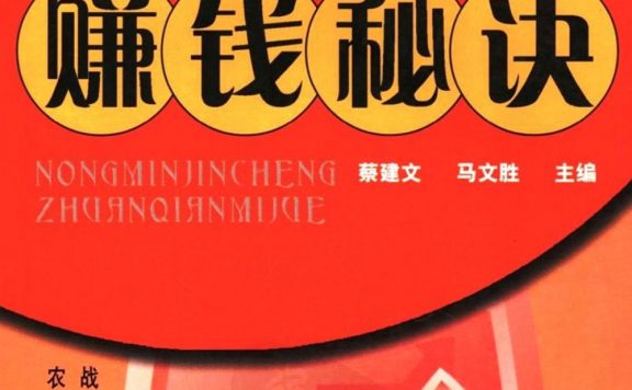 农民进城赚钱秘诀 (蔡建文) (pdf)