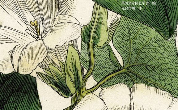 野草:野性之美 (加雷思·理查兹) (epub,azw3)