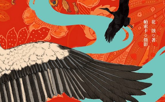 我不能在鸟兽身旁只是悲伤 (花蚀/帕索卡) (epub,azw3)