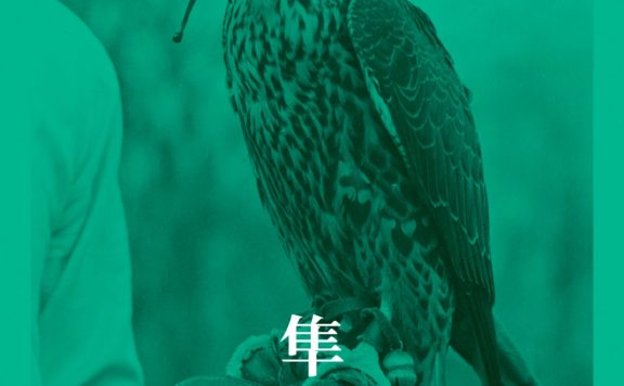 隼 (海伦·麦克唐纳) (epub,azw3)