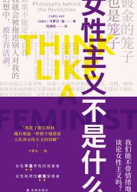 女性主义不是什么 (卡萝尔·海) (epub,azw3)