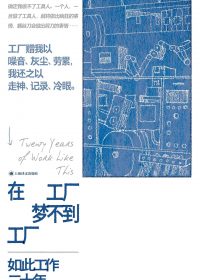 在工厂梦不到工厂：如此工作二十年 (张赛) (epub,azw3)