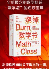 烧掉数学书：重新发明数学 (杰森·威尔克斯) (epub,azw3,pdf)