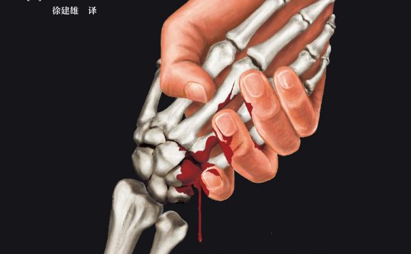 恶徒的救赎 (高野和明) (epub,azw3)