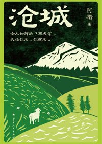 沧城 (阿措) (epub,azw3)