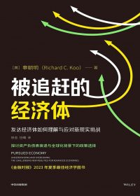 被追赶的经济体：发达经济体如何理解与应对新现实挑战 (辜朝明) (epub,azw3)