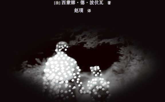 她弥留之际 (西蒙娜·德·波伏瓦) (epub,azw3)